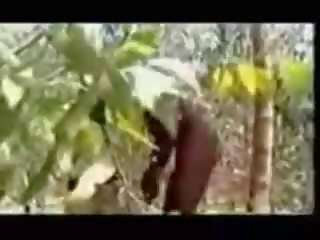 Dando un mamada a tribesman para 8 libras de bananas