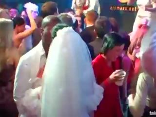 Hot oversexed brides suck big cocks in public